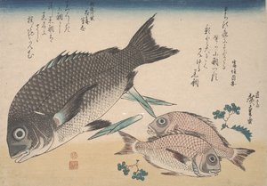 Besugo negro, besugo pequeño, brotes de espárragos y pimienta sansho, c.1830