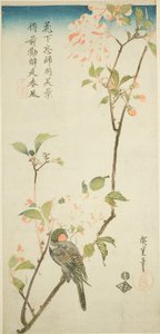 Camachuelo en rama de aronia de Utagawa Hiroshige