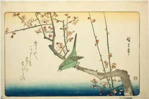Ruiseñor en rama de ciruelo de Utagawa Hiroshige