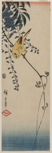 Canario y glicinia de Utagawa Hiroshige