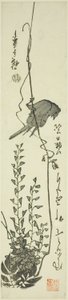 Canario y glicinia de Utagawa Hiroshige