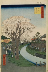 Flores de cerezo en las orillas del río Tama Cien Vistas Famosas de Edo, 1856-1858