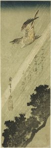 Cuco volando en la lluvia de Utagawa Hiroshige