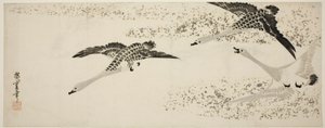Gansos descendiendo de Utagawa Hiroshige