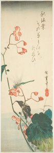 Libélula y begonia de Utagawa Hiroshige