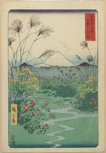 Campo en O_tsuki en la Provincia de Kai, abril 1858