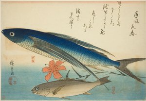 Pez volador e Ichimochi, de una serie sin título de peces