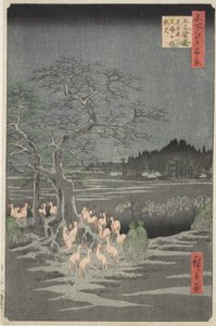 Fuegos de zorro en Nochevieja en el Árbol Cambiante de Oji (Oji shozoku enoki omisoka no kitsunebi), de la serie "Cien vistas famosas de Edo (Meisho Edo hyakkei)" de Utagawa Hiroshige