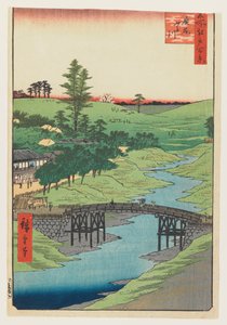 Río Furukawa, Hiroo