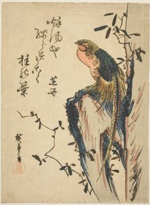 Faisán Dorado de Utagawa Hiroshige