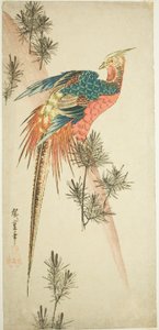 Faisán dorado y brotes de pino en la nieve de Utagawa Hiroshige