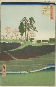 Colina Goten en Shinagawa (Shinagawa Gotenyama), de la serie "Cien vistas famosas de Edo (Meisho Edo hyakkei)" de Utagawa Hiroshige