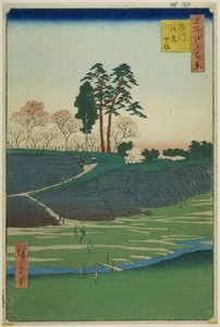 Colina Goten en Shinagawa (Shinagawa Gotenyama), de la serie "Cien vistas famosas de Edo (Meisho Edo hyakkei) "v de Utagawa Hiroshige