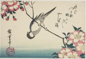 Carbonero común en rama de flor de cerezo de Utagawa Hiroshige