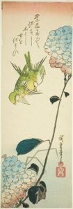 Pájaros verdes y hortensias de Utagawa Hiroshige