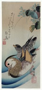 Hiroshige (1838) Dos patos mandarines