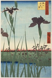 Jardín de lirios de Horikiri (Horikiri no hanashobu), de la serie Cien vistas famosas de Edo (Meisho Edo hyakkei)