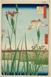 Lirios en Horikiri, de la serie "Cien vistas famosas de Edo"