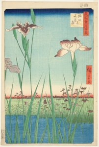 Lirios en Horikiri, de la serie "Cien Vistas Famosas de Edo" de Utagawa Hiroshige