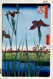 Iris en Horikiri Cien Vistas Famosas de Edo, 1856-1858 de Utagawa Hiroshige