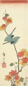 Ojiblancos Japoneses en una Rama de Arce, 1854