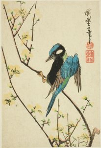 Gorrión de Java en rama de cerezo de Utagawa Hiroshige
