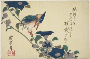 Martín Pescador y Campanillas de Utagawa Hiroshige