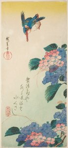 Martín pescador y hortensia de Utagawa Hiroshige