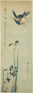 Martín Pescador e Iris de Utagawa Hiroshige