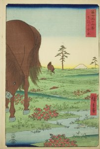 Llanura de Kogane en la provincia de Shimosa (Shimosa Koganehara), de la serie "Treinta y seis vistas del monte Fuji (Fuji sanjurokkei)" de Utagawa Hiroshige