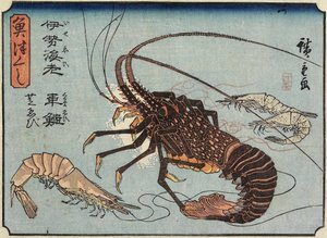 Langosta, gamba y camarones, 1830-1844
