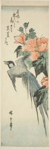 Pájaro de cola larga y hibisco de Utagawa Hiroshige