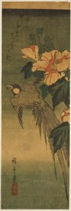 Pájaro de cola larga y hibisco de Utagawa Hiroshige