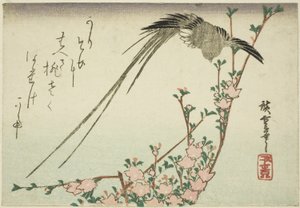 Pájaro de cola larga y flores de durazno de Utagawa Hiroshige