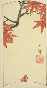 Hojas de arce en la provincia de Shimosa (Shimosa, momiji), sección de la hoja no. 7 de la serie "Imágenes recortadas de las provincias (Kunizukushi harimaze zue)"