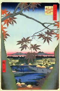 Árboles de arce en Mam, Santuario Tekona y Puente Vinculado, lámina 94 de la serie Cien vistas de Edo, Periodo Edo, Era Ansei, 1857 de Utagawa Hiroshige