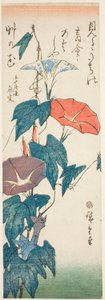 Glorias de la mañana de Utagawa Hiroshige