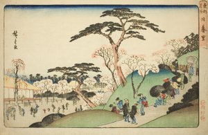 Nippori, de la serie "Lugares famosos en la capital oriental"