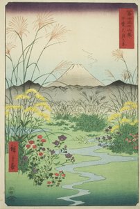 Llanura de Otsuki en la provincia de Kai, de la serie "Treinta y seis vistas del monte Fuji" de Utagawa Hiroshige