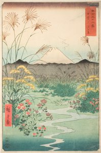 Llanura de Otsuki en la provincia de Kai (Kai Otsuki no hara), de la serie "Treinta y seis vistas del monte Fuji (Fuji sanjurokkei)" de Utagawa Hiroshige