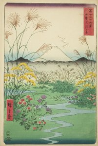 Llanura de Otsuki en la provincia de Kai, de la serie "Treinta y seis vistas del monte Fuji" de Utagawa Hiroshige