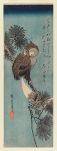 Búho en una rama de pino, c.1833 de Utagawa Hiroshige