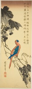 Loro en una vid de Utagawa Hiroshige