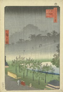Plantación de paulownia en Akasaka bajo la lluvia vespertina