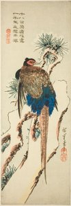 Faisán en un pino cubierto de nieve de Utagawa Hiroshige