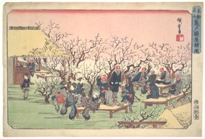 Flores de ciruelo en el jardín de Kameido de Utagawa Hiroshige