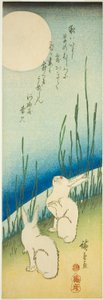 Conejos bajo la luna llena de Utagawa Hiroshige