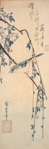 Bluetail Red-Flanked en una rama de cerezo de Utagawa Hiroshige