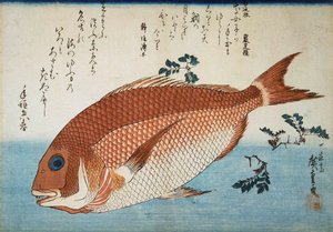 Besugo, 1832-1834 de Utagawa Hiroshige