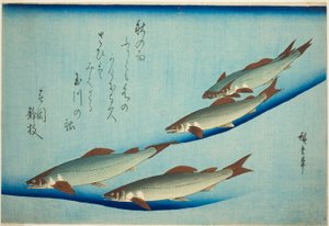 Trucha de río de Utagawa Hiroshige